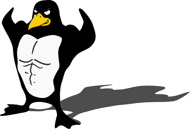 Testépítű pingvin képe a pixabay.com-ról